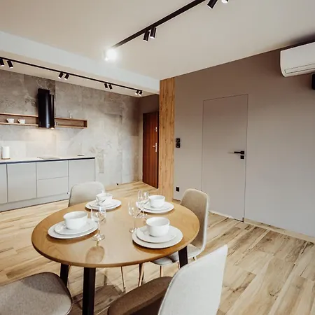 公寓 Luxury Szklarska 斯克拉斯卡波伦巴