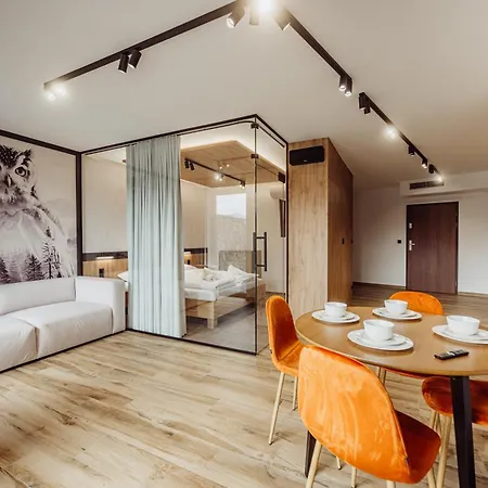 Luxury Szklarska 公寓 *